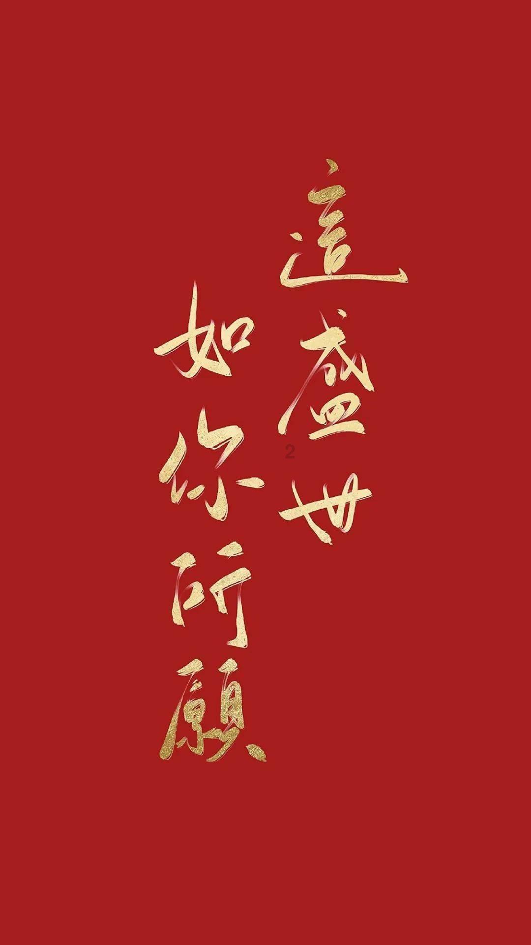 中国小动物保护协会直播分享两只被救助的猫咪状态